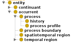 Example of lexical regularity in BFO.